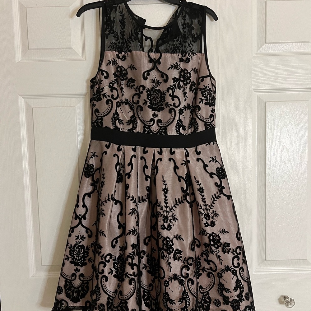Roz and Ali size 10 black and blush lace dress